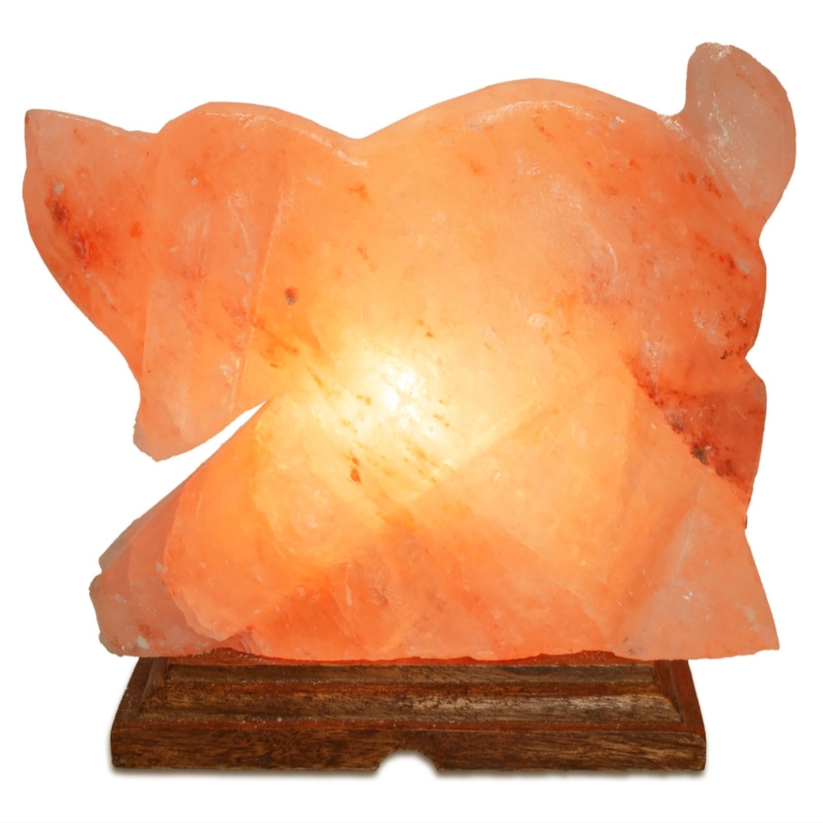 XL Himalayan Salt Lamp Dog Carving Large Salt Light Natural Salt Stone 7lbs