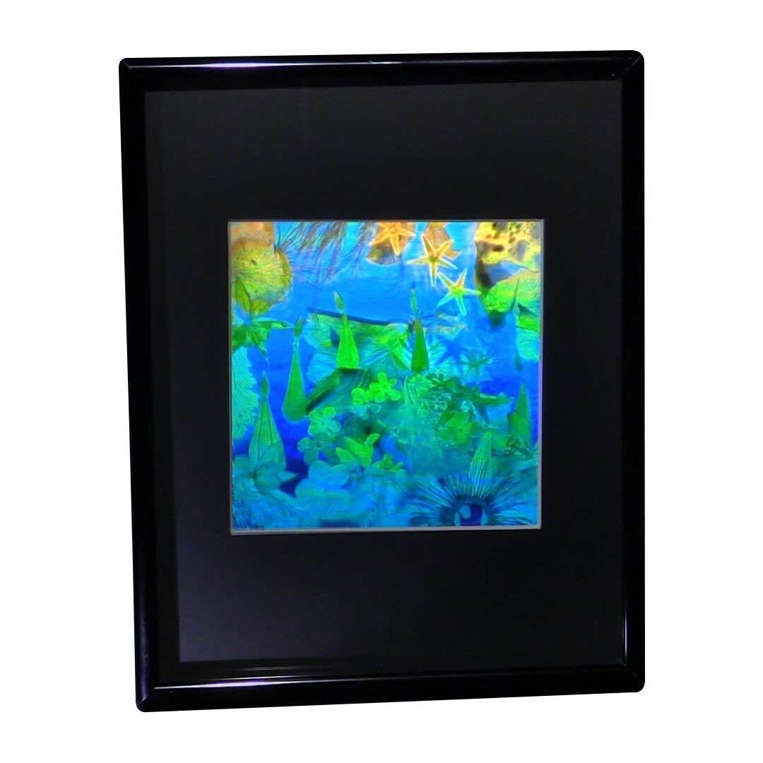 3D Undersea Hologram Picture FRAMED, Collectible EMBOSSED Type Film