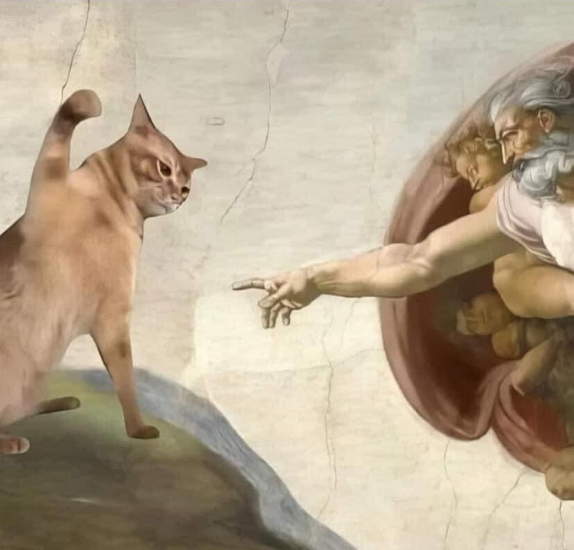 FUNNY CAT MEME “MICHAELANGELO” FRIDGE MAGNET 4.25″ X 4.25″