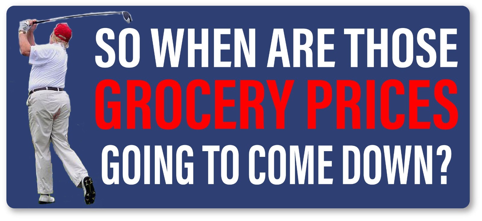 ANTI TRUMP Grocery Prices come down Outdoor Safe Election Bumper Sticker