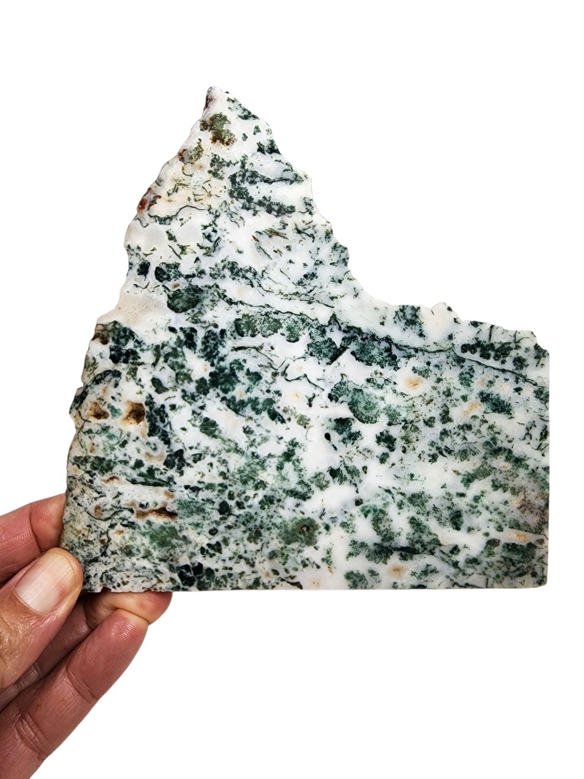 Green Tree Agate Faced Rough India 150.5 grams.