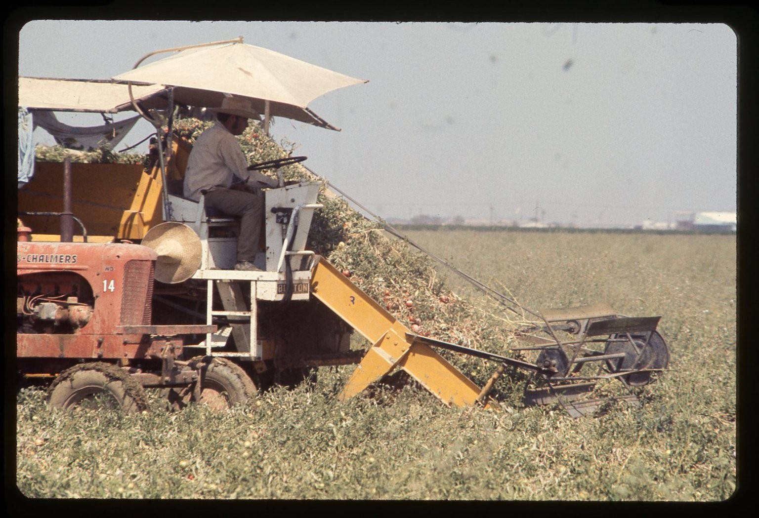 SL26 Slide 1980 Omaha Allis-Chalmers Tomato Harvester Farm 502a