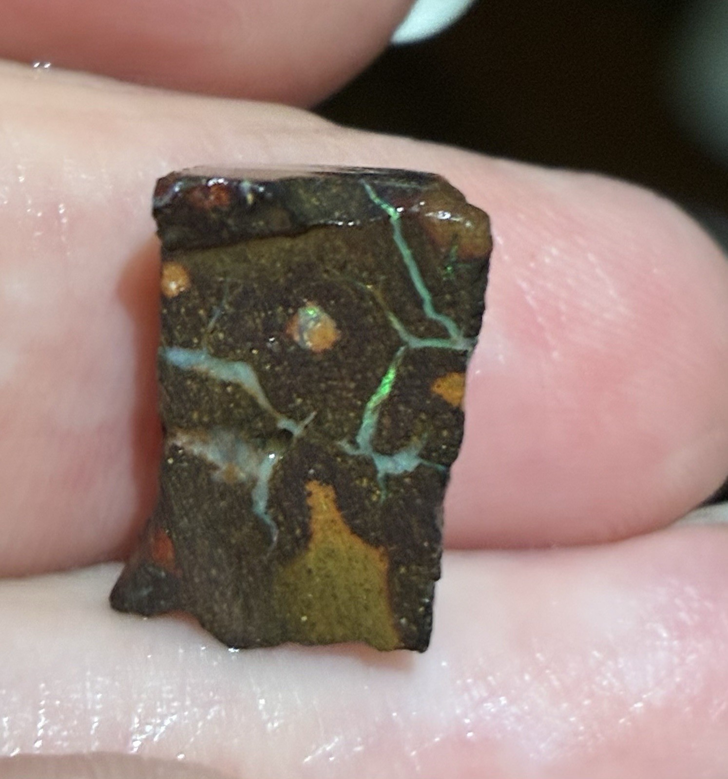 10ct Australian Small Boulder Double Sided Opal Rough Loose Specimen A65