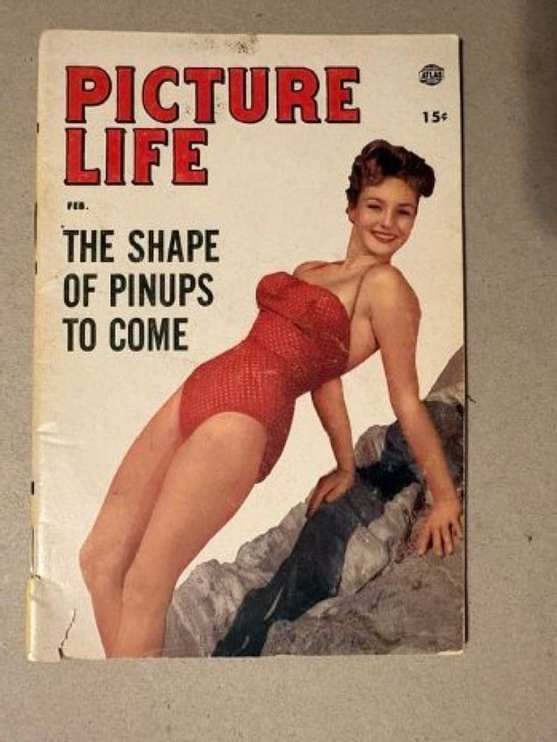 magazine pin-ups Picture Life 1954Eddie Fisher Richard Nixon Marilyn Monroe etc