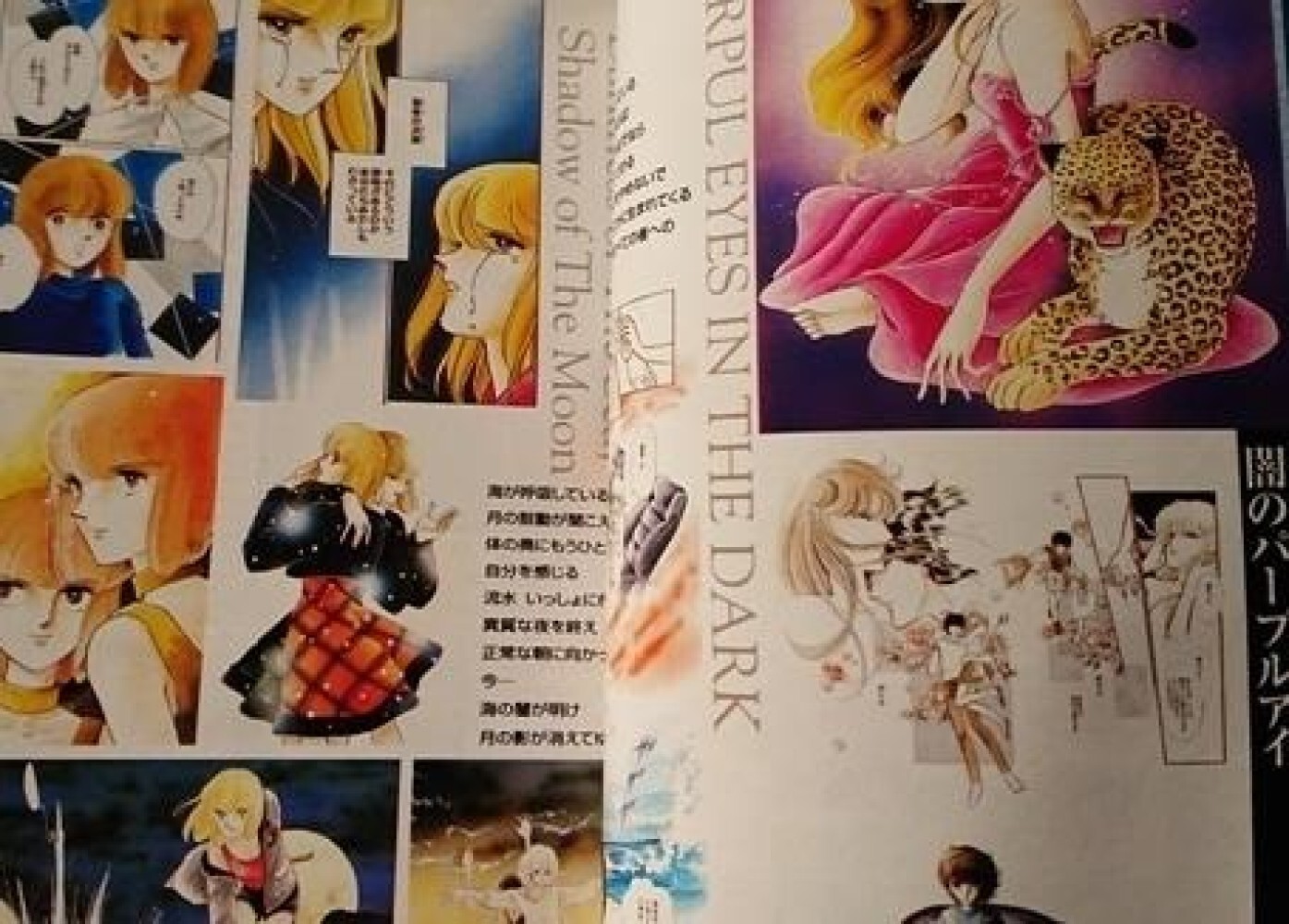Chie Shinohara World Guide 1981 – 1999 Art JAPAN Book Red River Anatolia