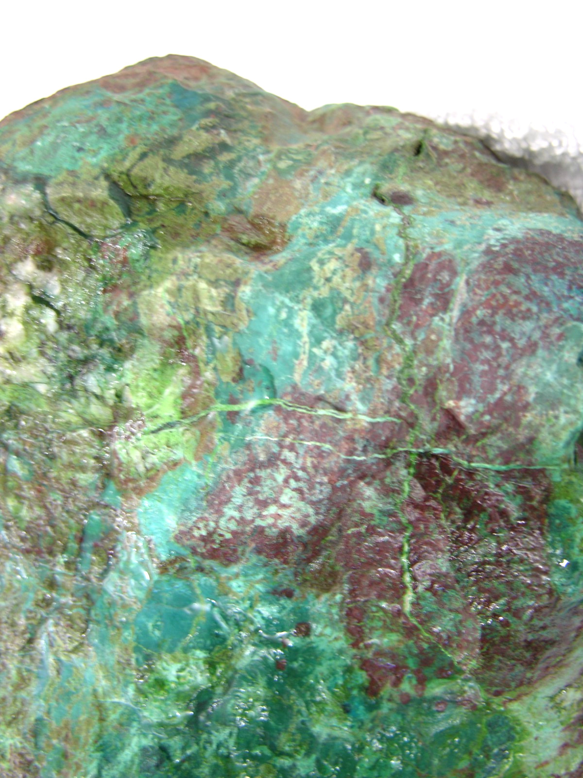 Apache chrysocolla rough blues greens Turquoise 9x6x3 inch 9.5 pounds at1
