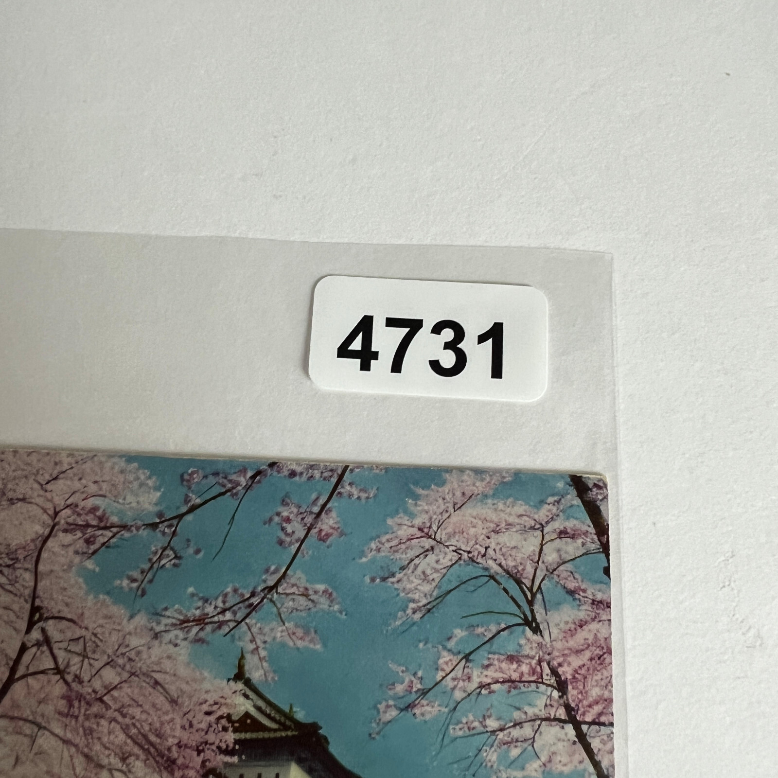 Hirosaki Castle Japan Spring Cherry Blossom Honshu Postcard