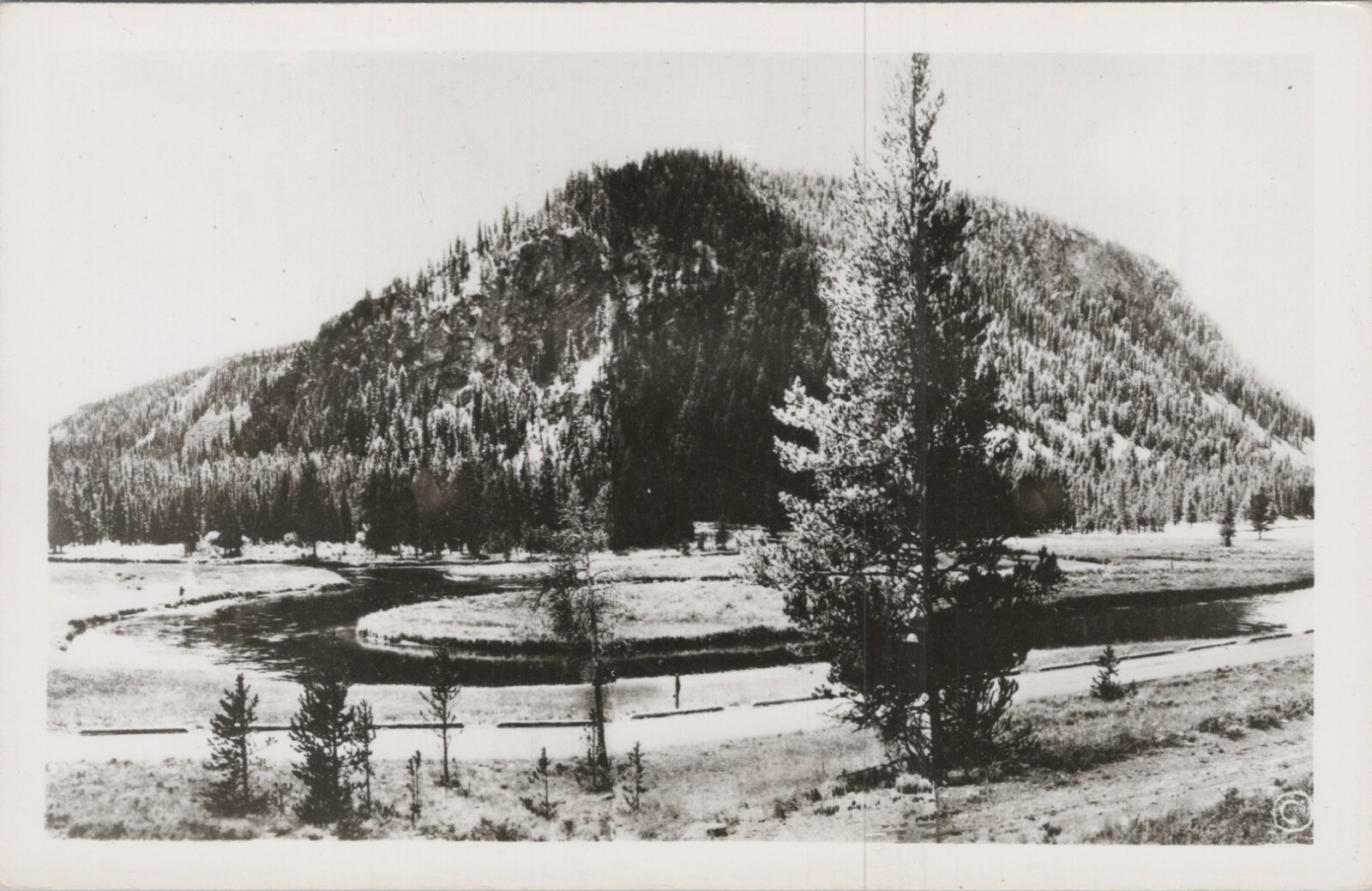 RPPC Postcard Haynes # 36450 Yellowstone National Park Wyoming Real UNP 10632a