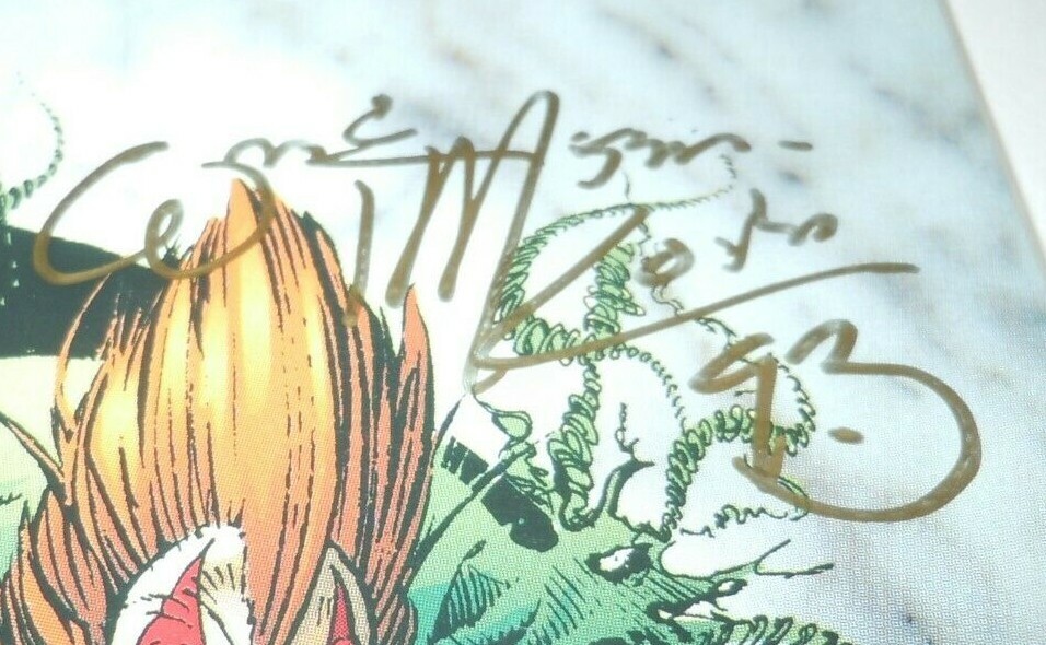 Darker Image #1 Comic SIGNED William Messner-Loebs 1st Appearance MAXX Deathblow