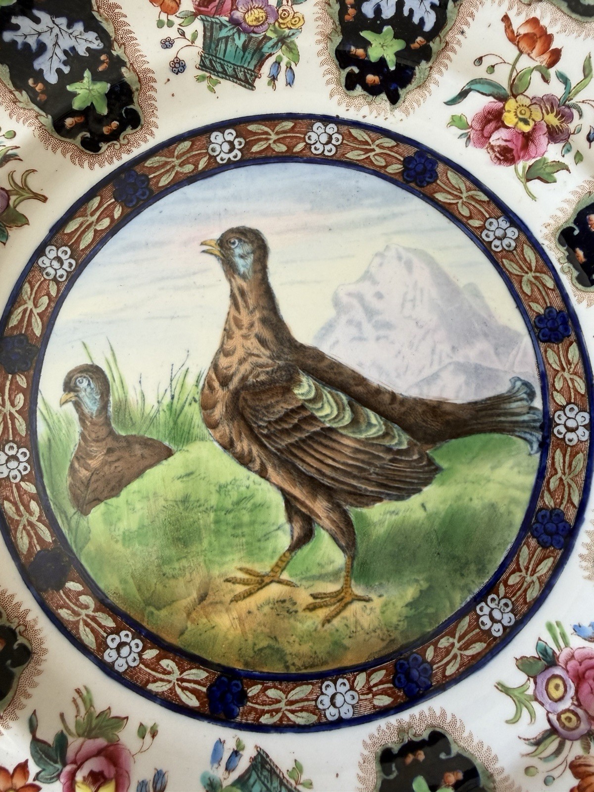 Copeland Spode Upland Game Bird 10.5″ Plate “Blackcock No. 4” Blue Rim Colorful