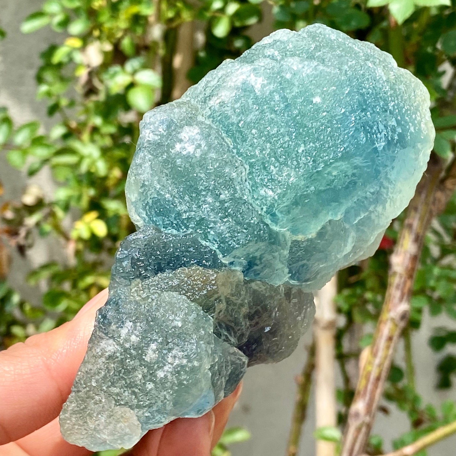 1.28LB Healing of exquisite natural green fluorite mineral specimens