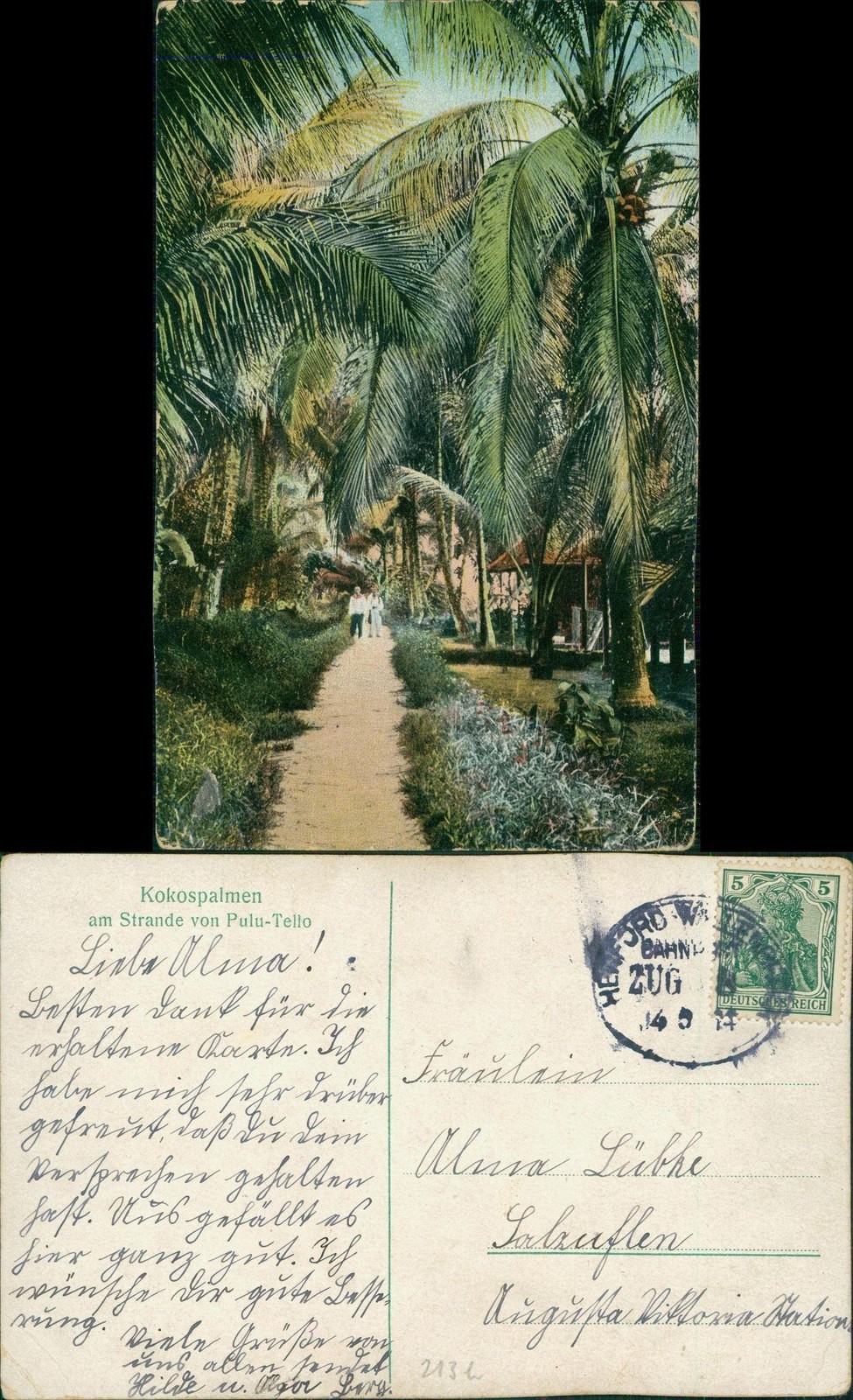 Postcard Pulau Tello Coconut Palms Beach Pulu-Tello Sumatra 1914