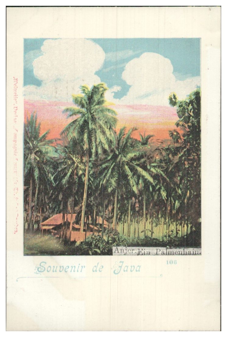 S198/Anjer Java Indonesia Postcard 1899 Publisher Compagnie Comet No. 106