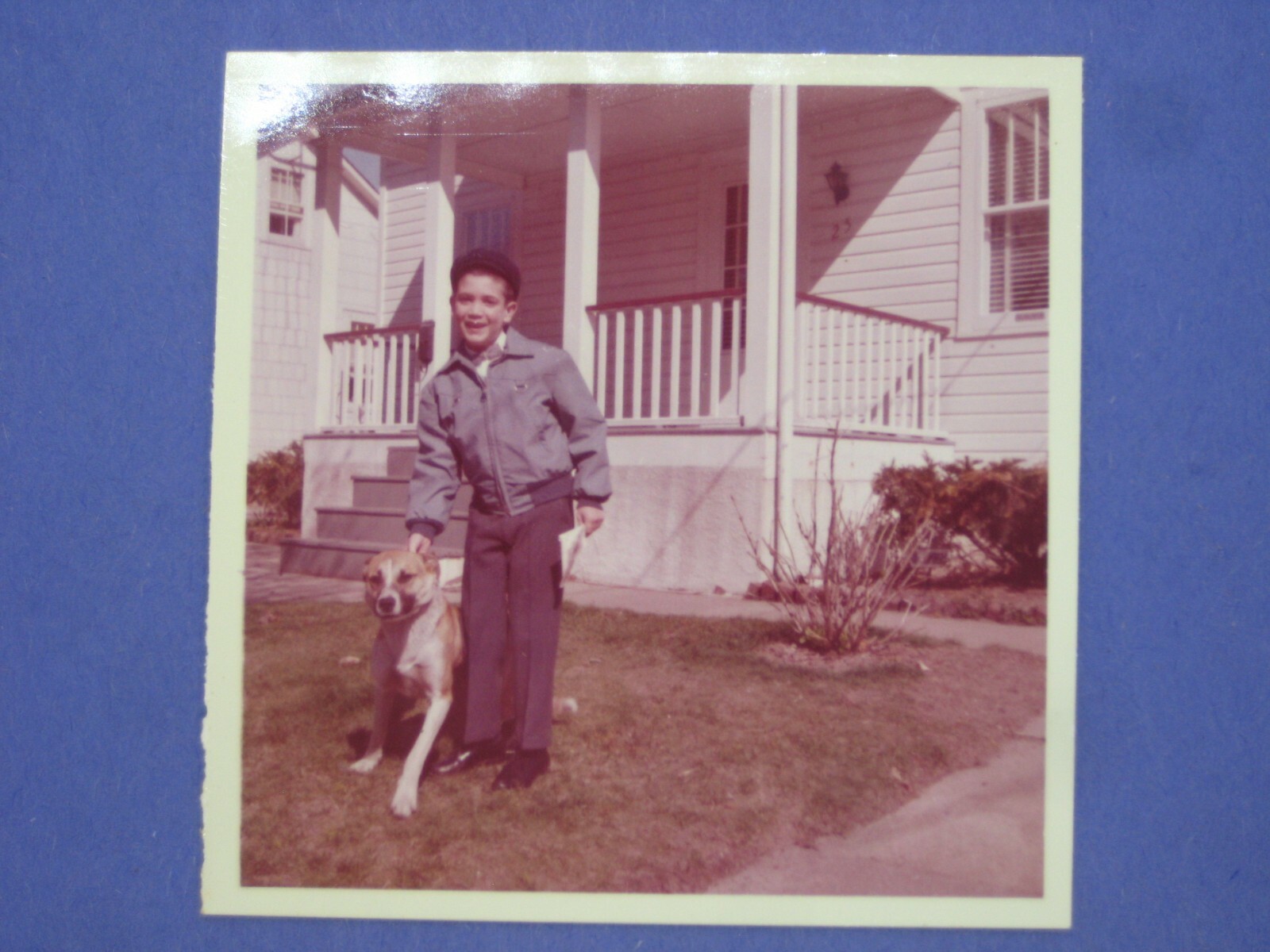 OP143 Vintage PHOTO original B&W 1960s? boy dog front porch lawn Americana