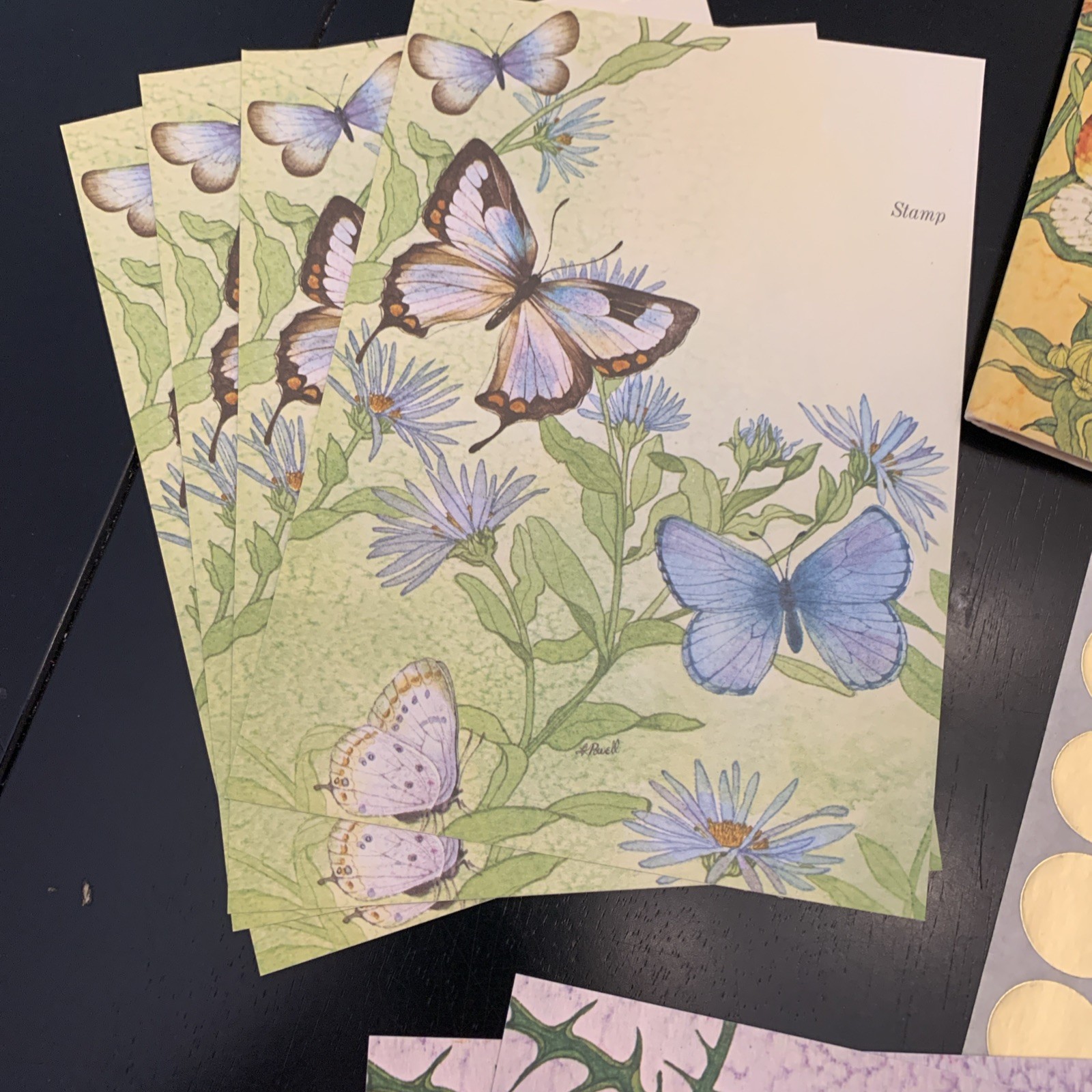 Current Inc Notecards Butterfly Just A Notecards Self Seal Notecards w 12 cards