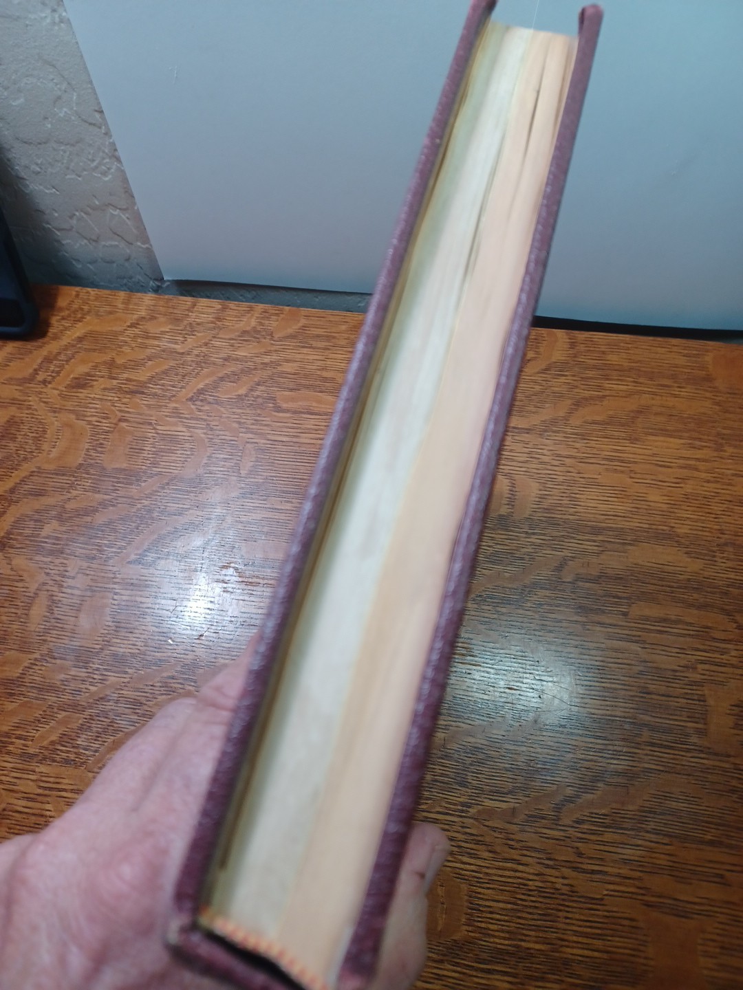 66-67 Sci-Fi Movie Scripts Curse Swamp Creature + Remember to Kill Bound JRR49
