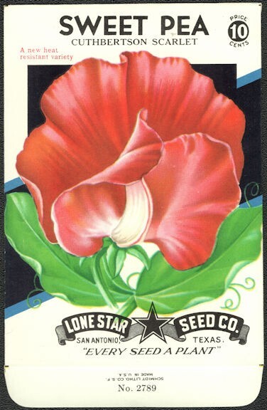 Vintage San Antonio Texas Seed Packet Lone Star Scarlett Sweet Pea Flower Empty