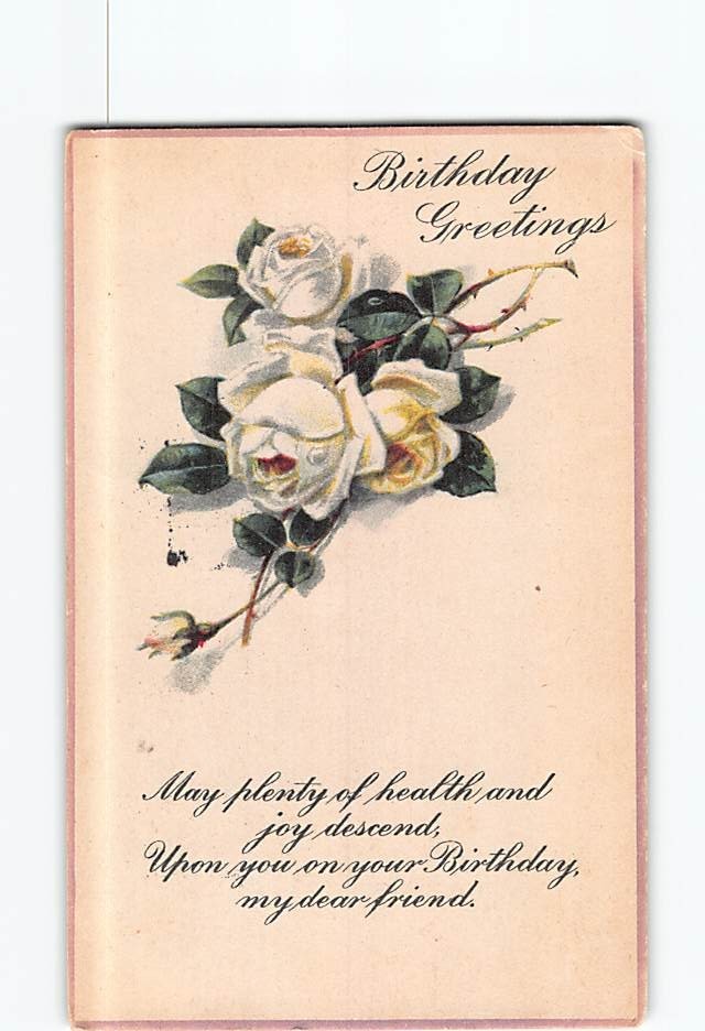 Postcard Birthday Greetings White Rose Flower Art Print