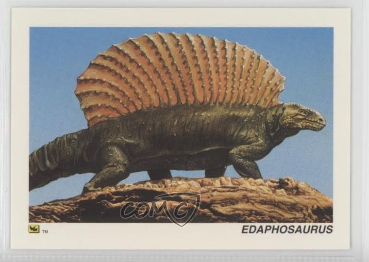1992 DinoCardz Edaphosaurus #30 0w6