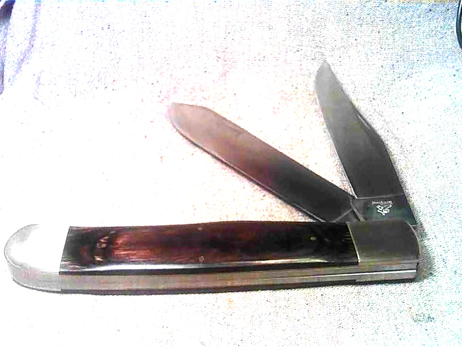 JUMBO DISPLAY KING TRAPPER KNIFE 8″ Dark Brown Hardwood Handles 2-German Blades
