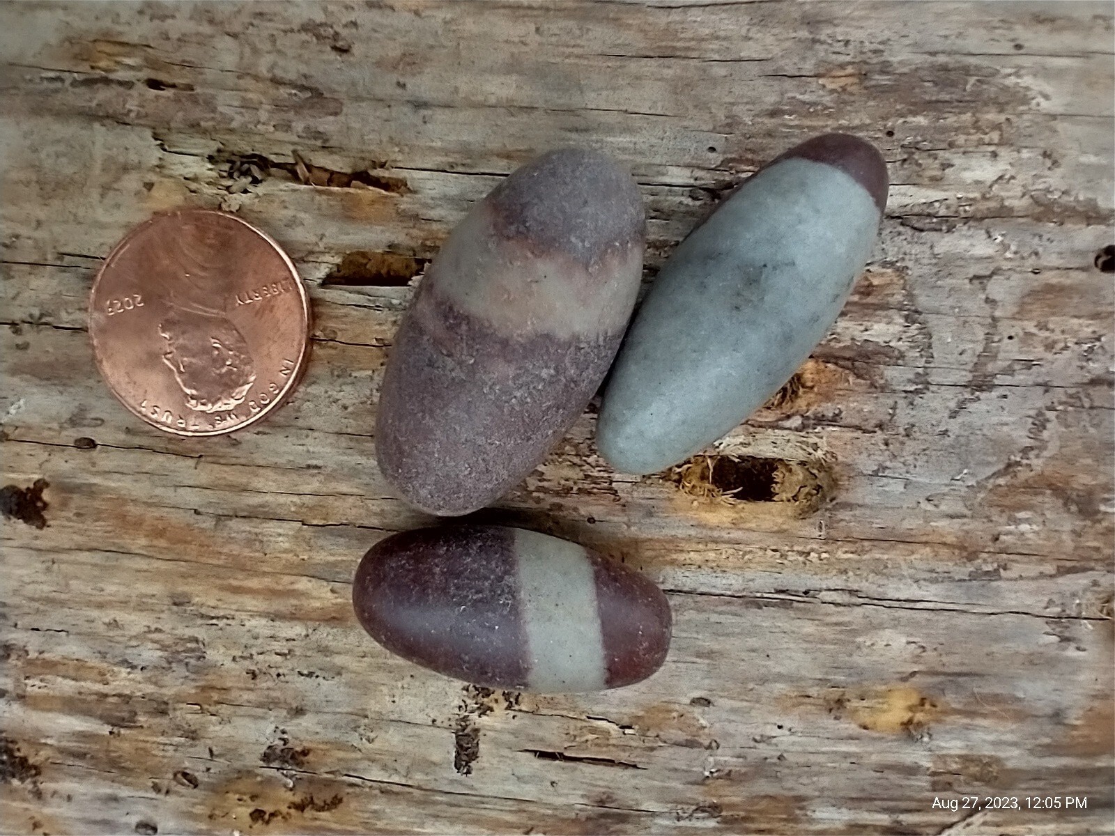 Narmada River Shiva Lingam Natural Stone Approx Pack of 3 Positive Energy 1″ S11