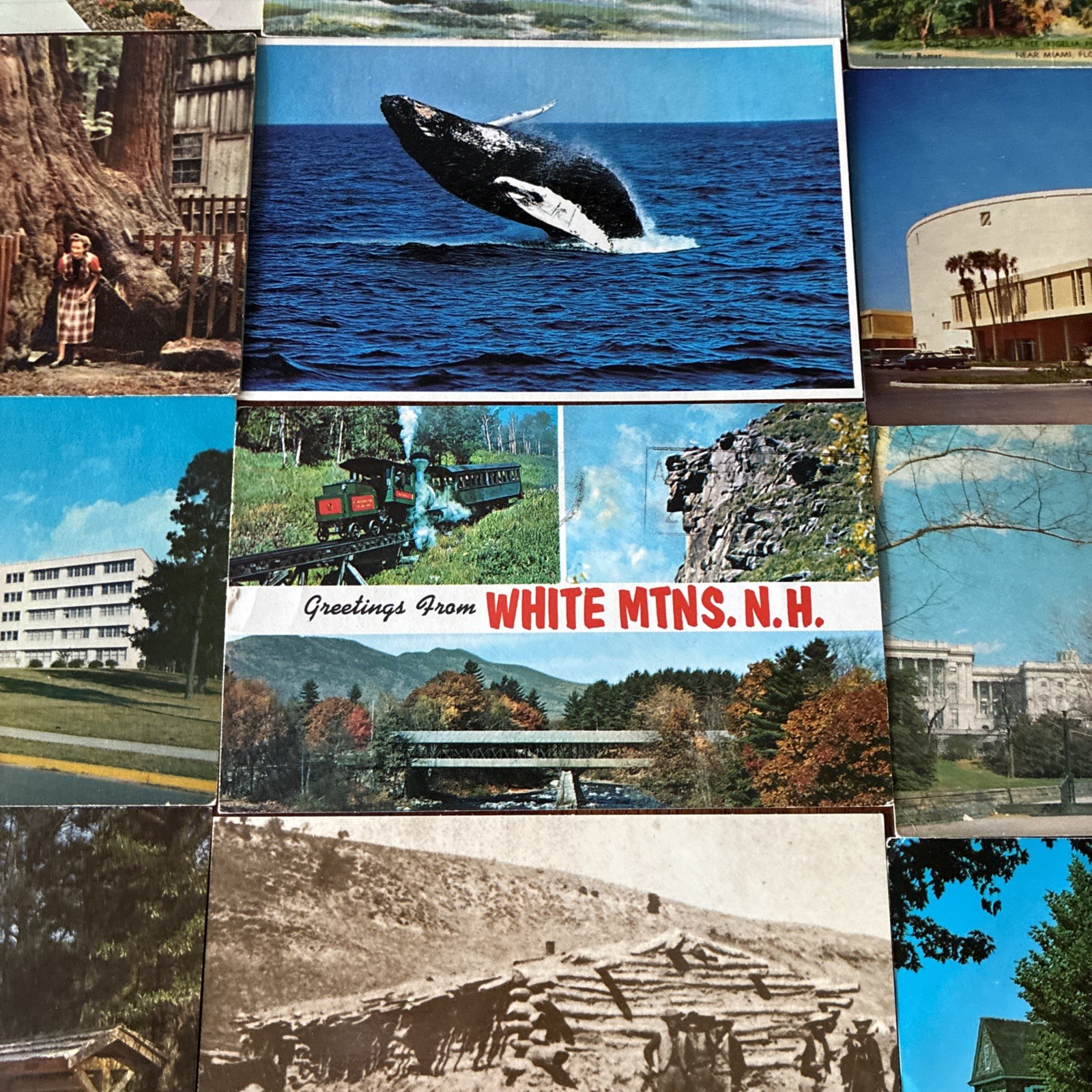 Lot Of 92 U.S. Towns, Scenes, Cities And Nature From Mid To Late 20th Century