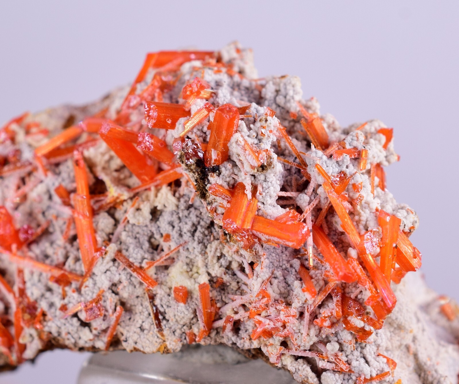 3.1cms GEM RED CROCOITE CRYSTALS CLUSTER MATRIX ADELAIDE MINE AUSTRALIA ZB35