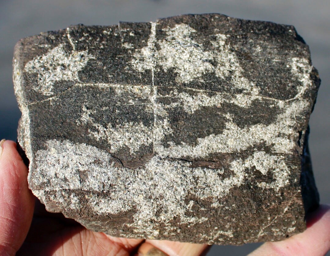 Calcite Filled Theropod Rib Bone • 14.8 ounces