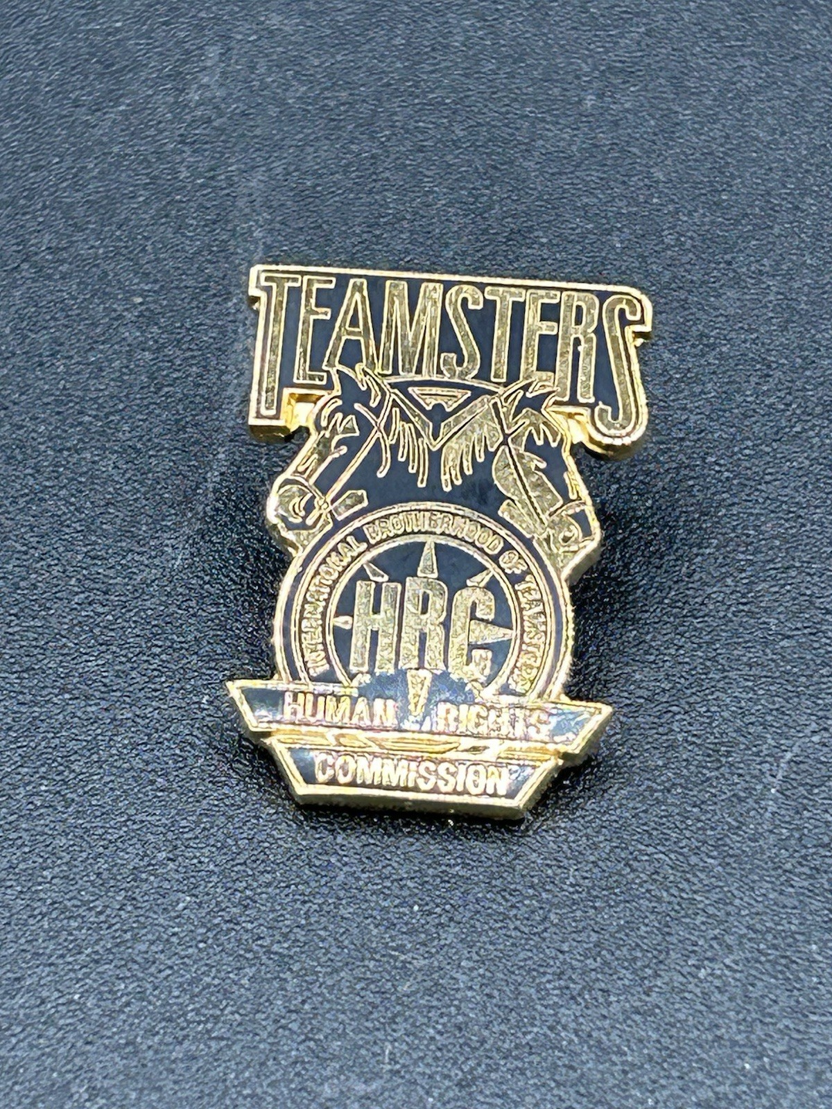 International Brotherhood Of Teamsters Union Pin Teamsters Human Rights Division