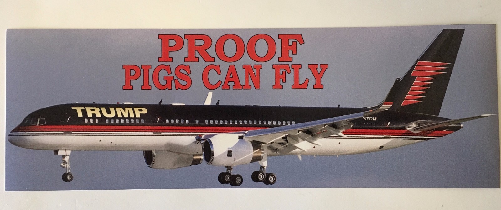 PROOF PIGS CAN FLY BUMPER STICKER – ANTI Trump POLITICAL FUNNY