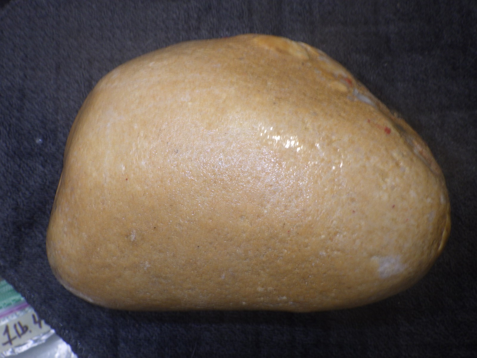 Pudding Stone 4 lbs 14.8 oz