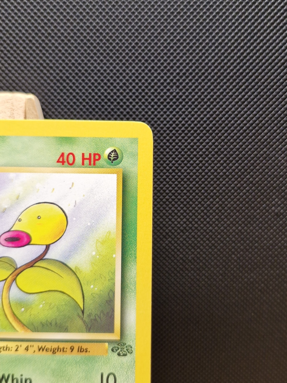 Pokemon TCG 1999 WOTC Jungle 1st Edition Bellsprout 49/64 – Excellent