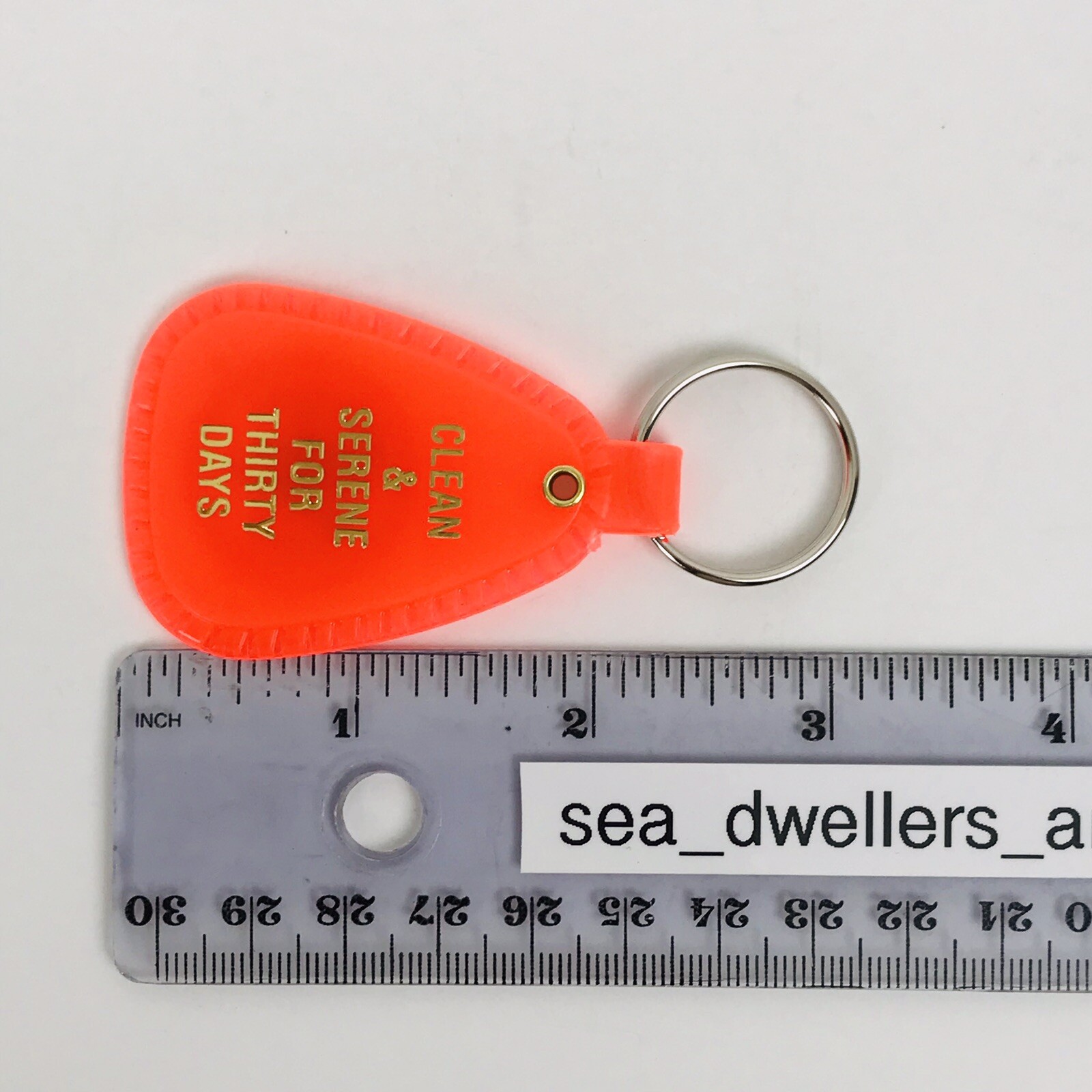 NARCOTICS ANONYMOUS NA KEY TAG Orange 30 Days Recovery 12 Piece English