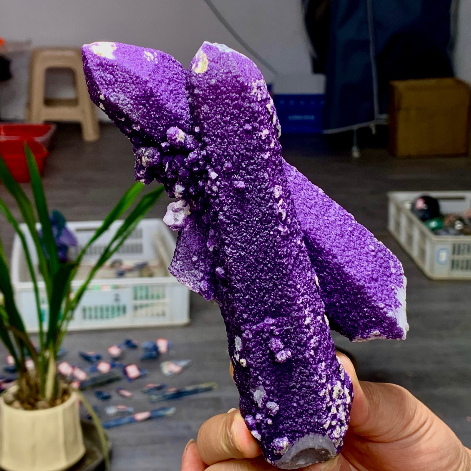 1.28LB Natural purple fluorite wrapped candle crystal cluster mineral crystals