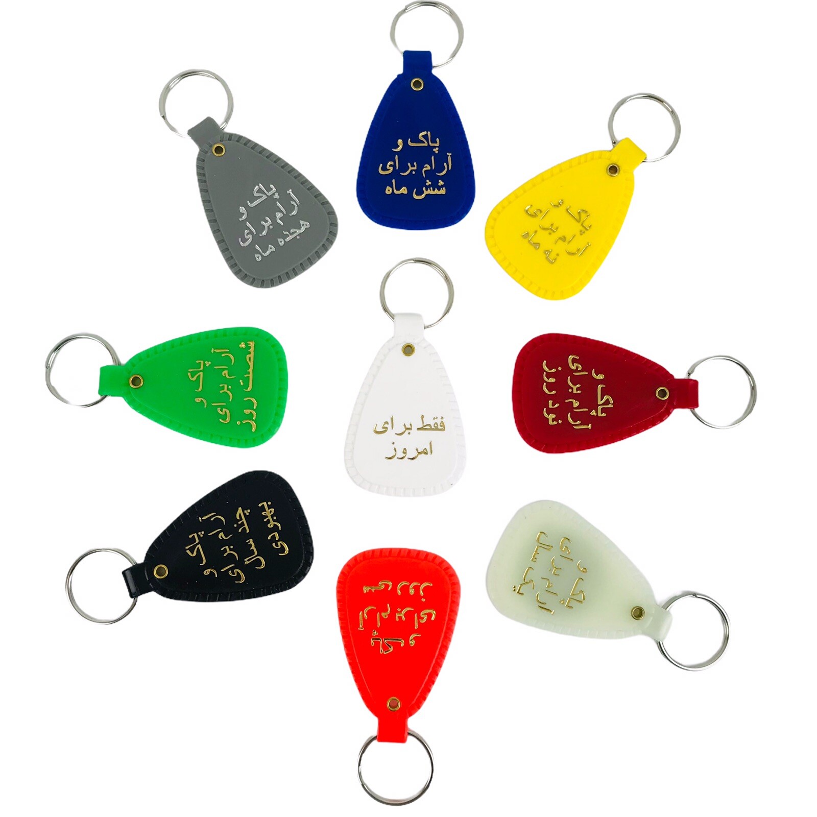 NARCOTICS ANONYMOUS NA KEY TAG Ring Recovery Just For Today 9 Piece FARSI