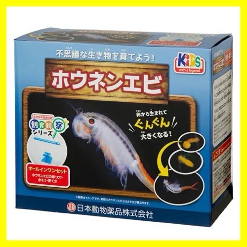✅ Japan Pet Desing Fairy Shrimp Breeding Observation Set ‎258863 17×10×14cm New