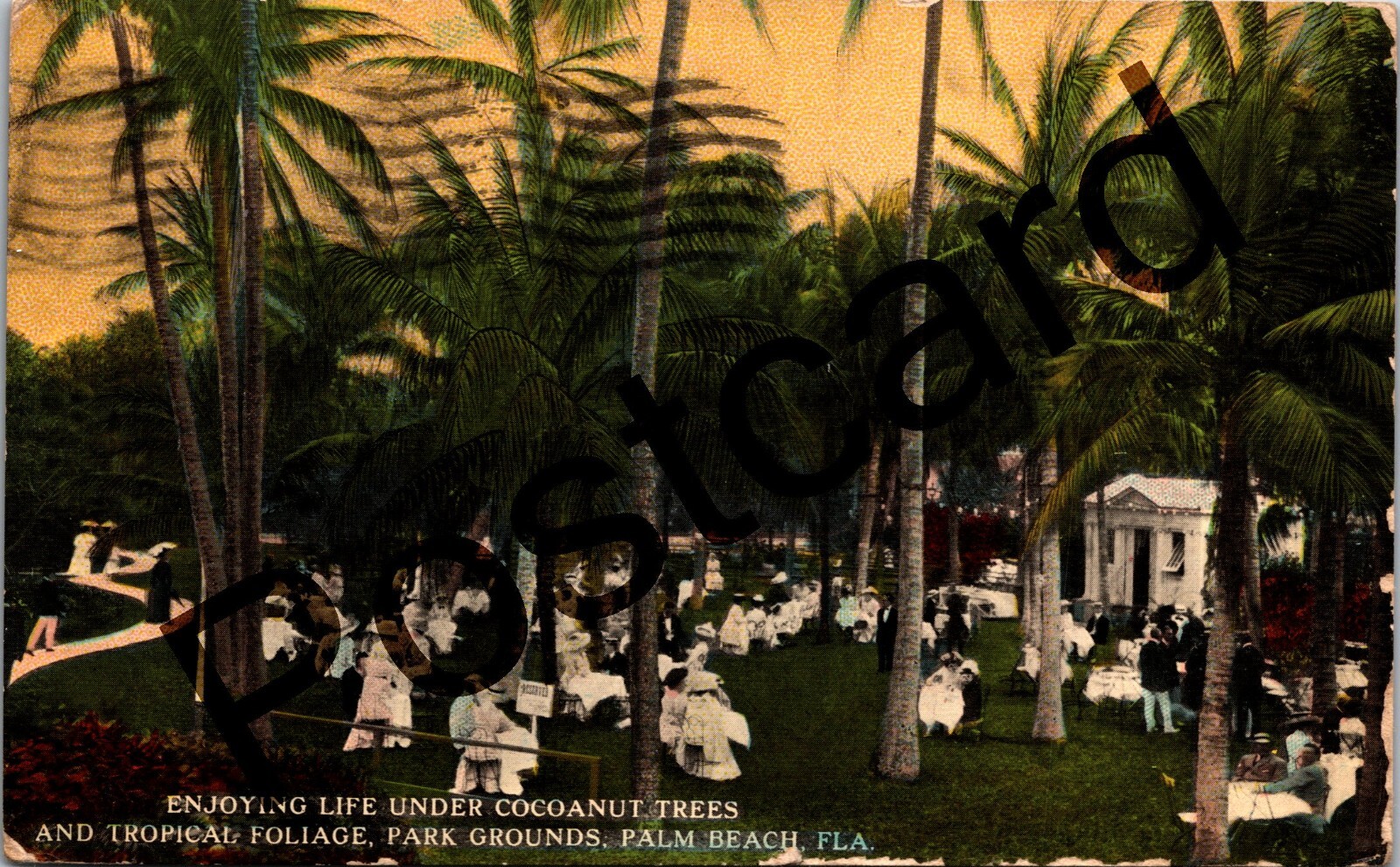 1914 PALM BEACH FL, Park Grounds, under the cocoanut trees, Drew postcard jj189