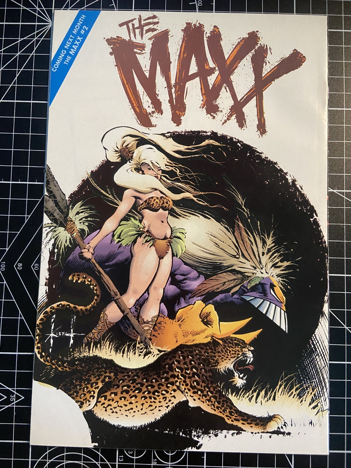 THE MAXX #1 IMAGE COMICS SAM KIETH