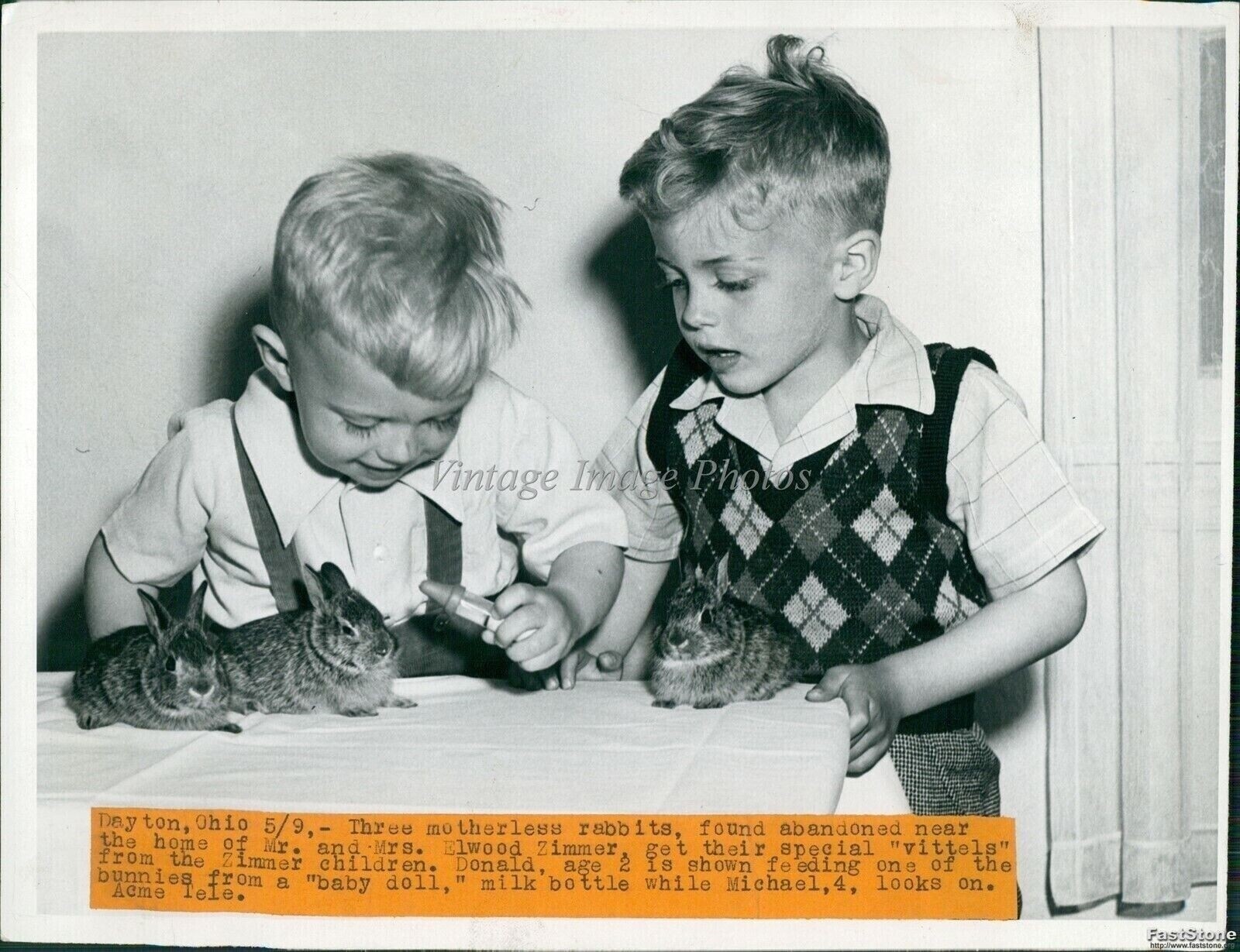 News Photo Mrselwood Zimmer’S Children Attend Rescued Rabbits Animals 7×9