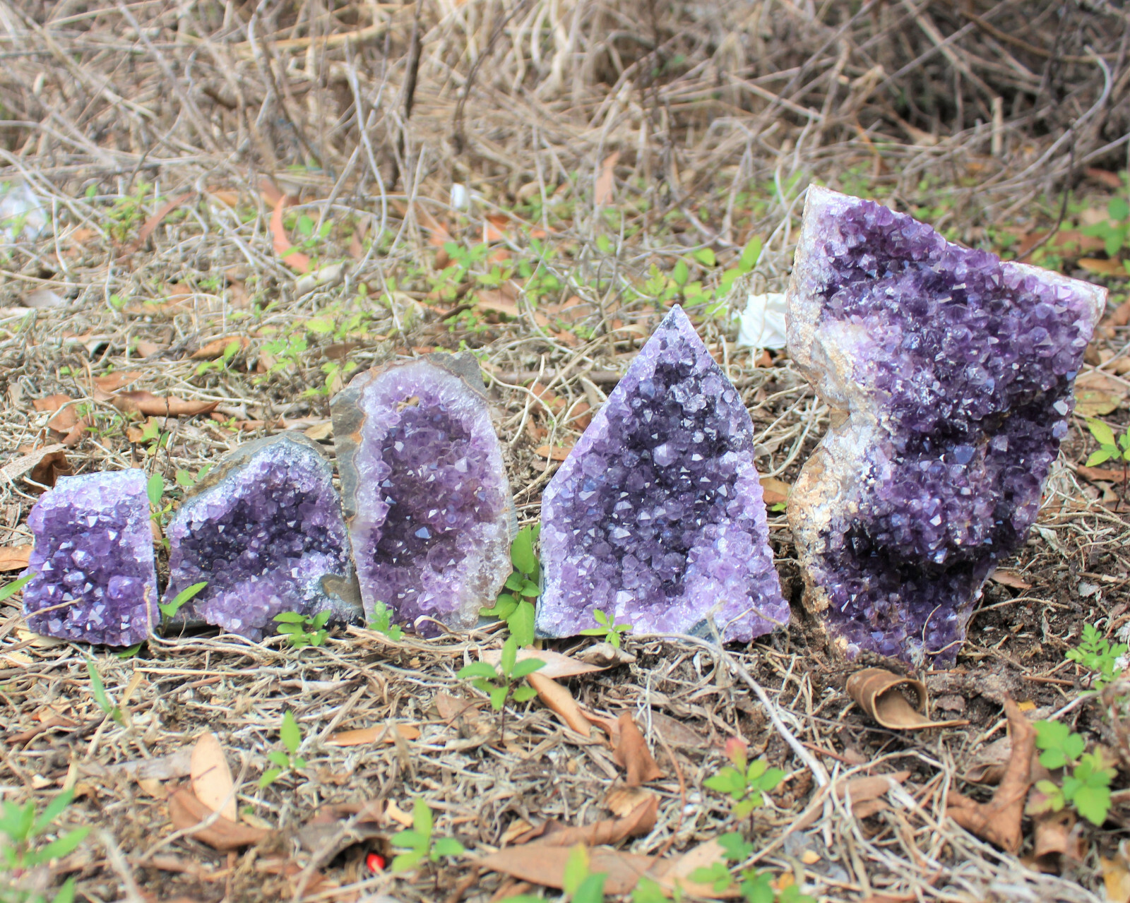 Clearance Amethyst Cut Base Crystal Geodes – Natural Quartz Cluster Specimens