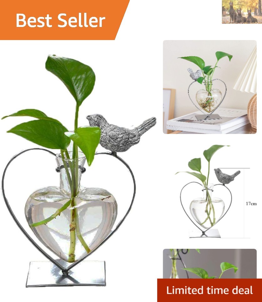 Charming Heart-Shaped Glass Vase with Bird Stand – Perfect for Indoor Plants