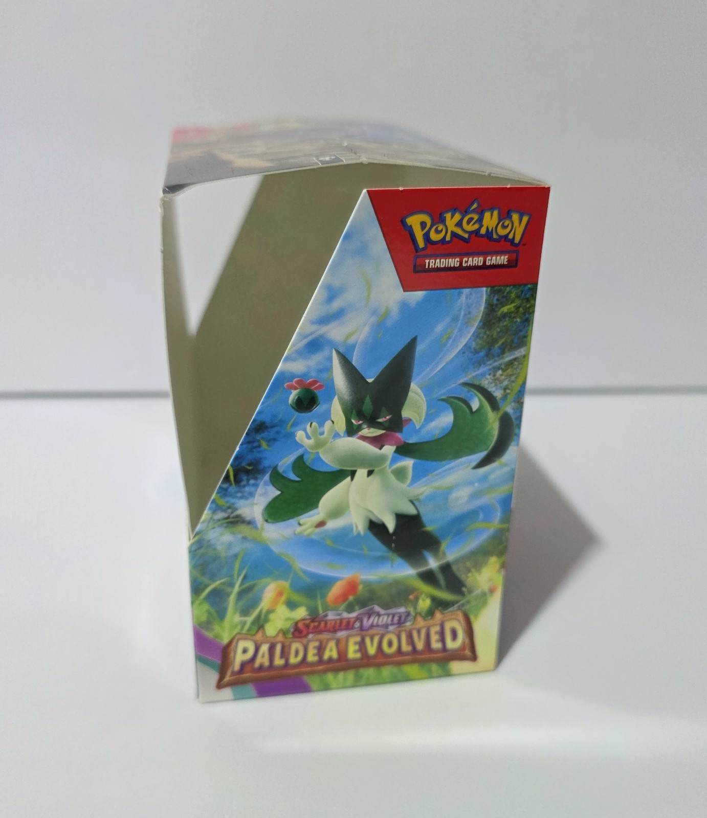 Display Pokémon PALDEA EVOLVED Booster Box – EMPTY NO PACKS/NO CARDS