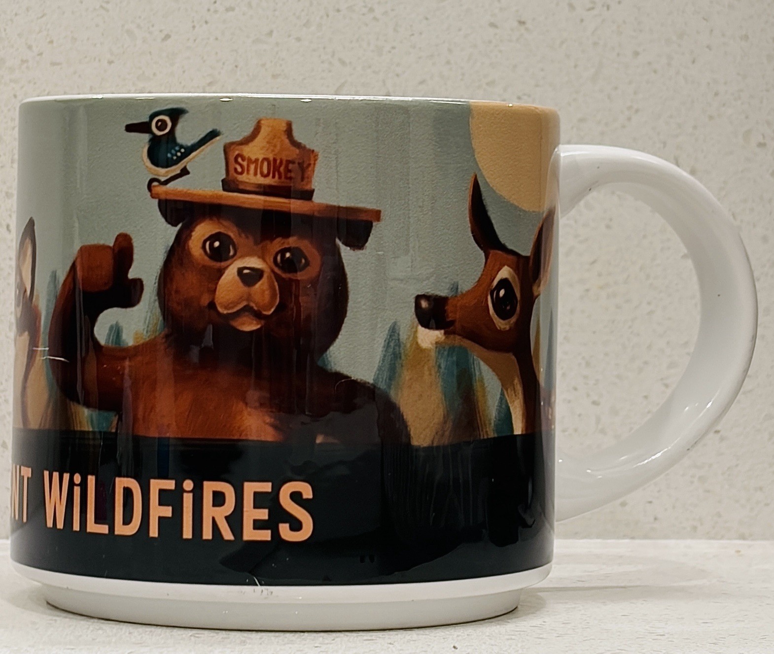 Smokey The Bear ☕️Mug Only You Can Prevent Forest Fires Disney Wilderness Lodge
