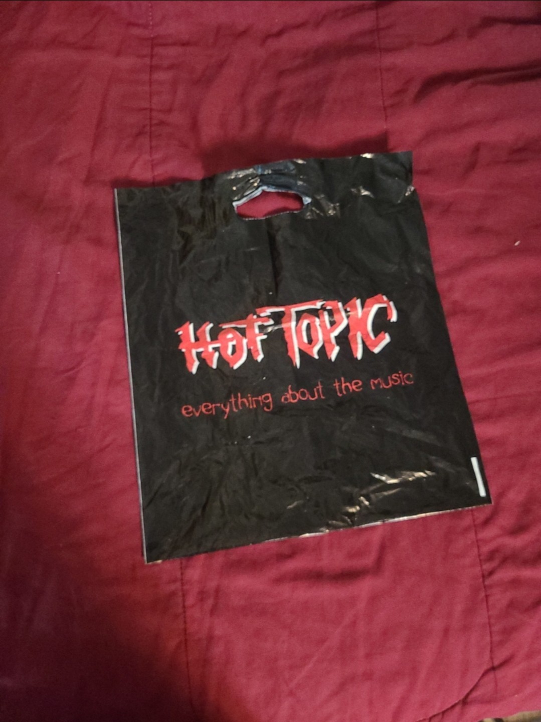 Vintage 2000s Hot Topic Everything About The Music Retail Bag 14×16