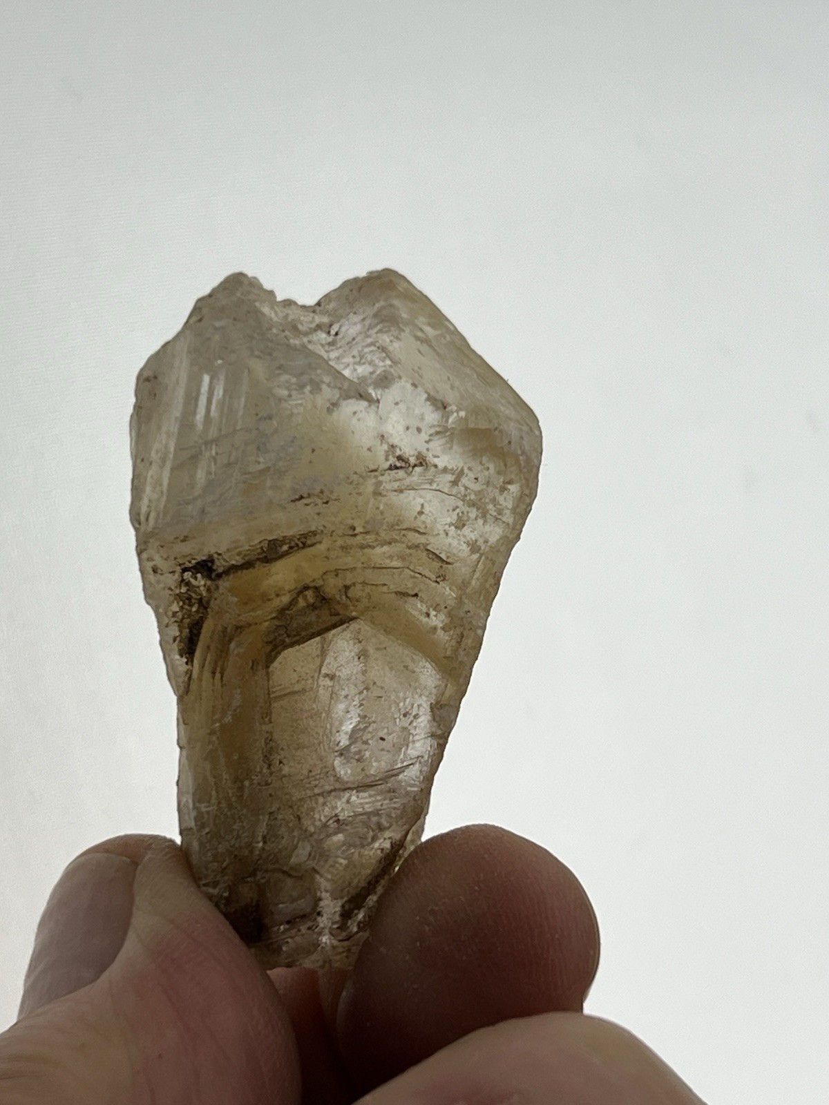 Golden Phantom Selenite Crystal, Santa Eulalia, Chihuahua, Mexico. 30 grams