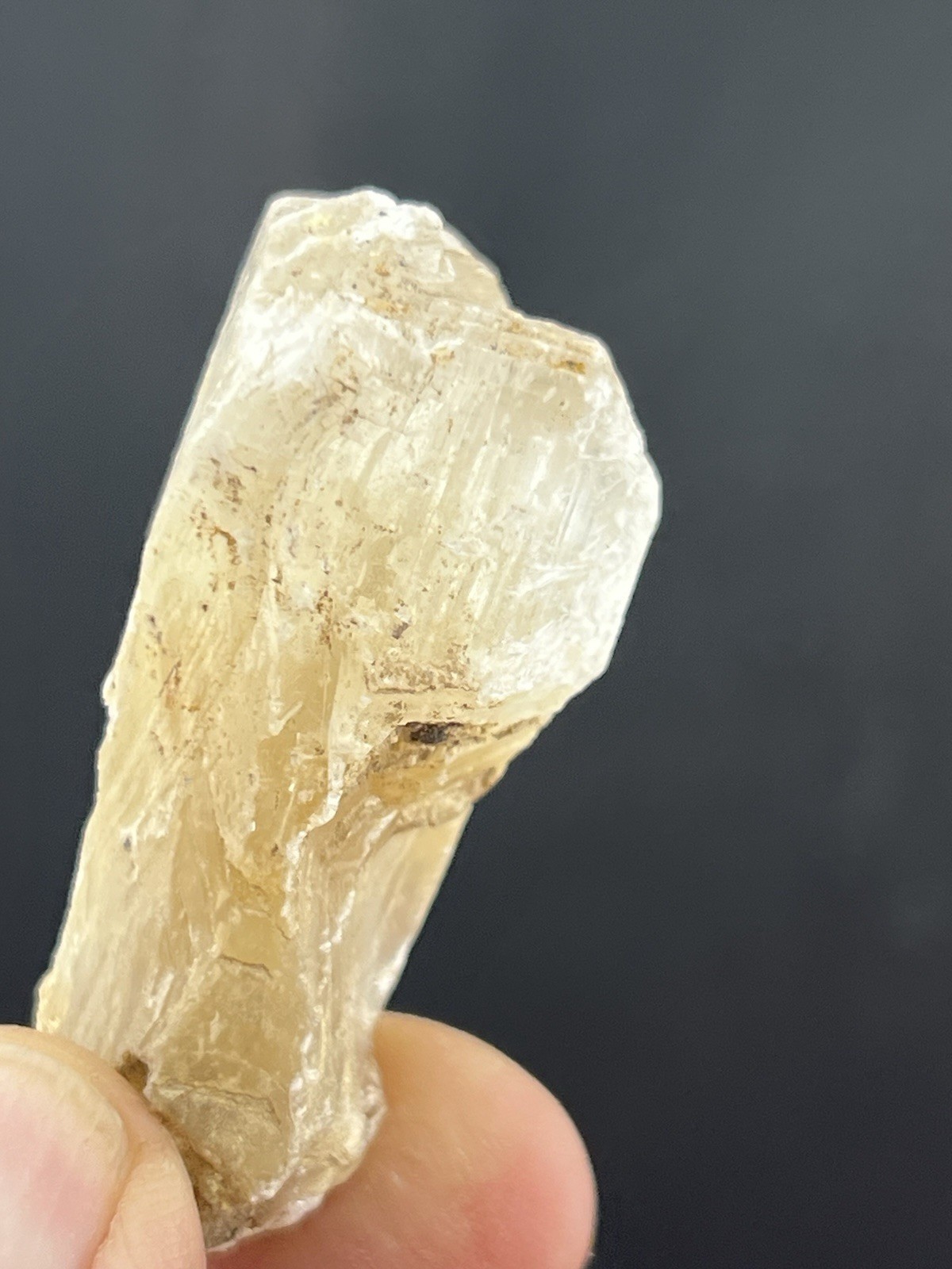 Golden Phantom Selenite Crystal, Santa Eulalia, Chihuahua, Mexico. 30 grams