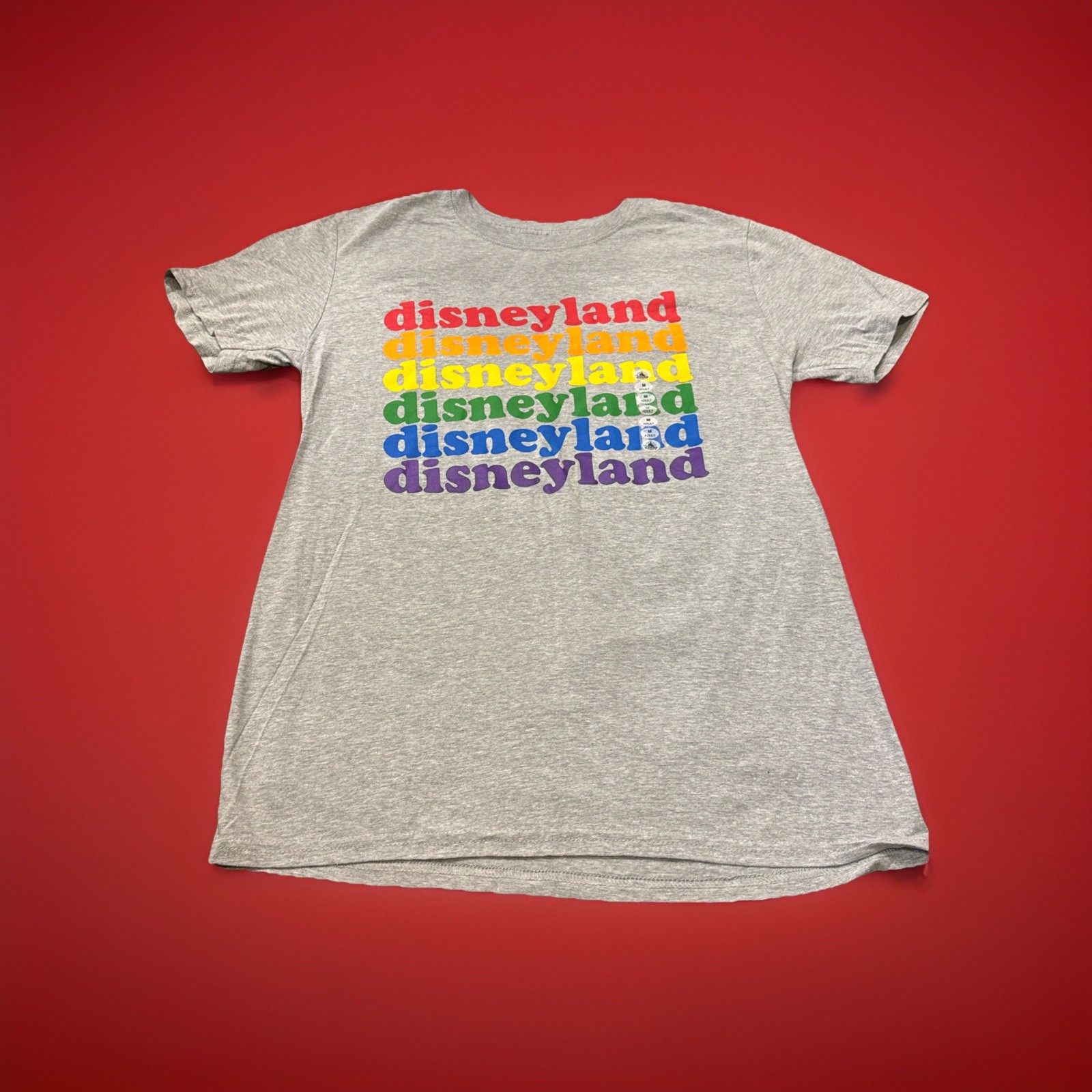 Disneyland Rainbow Gray Graphic T-shirt Unisex Size Medium M New Pride LGBQT