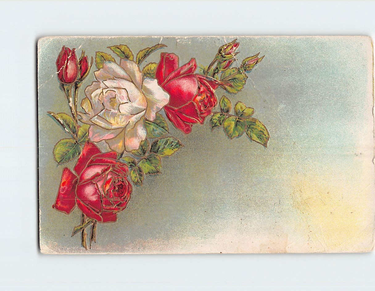 Postcard Red White Roses Vintage Floral Art Romantic Botanical Design Embossed