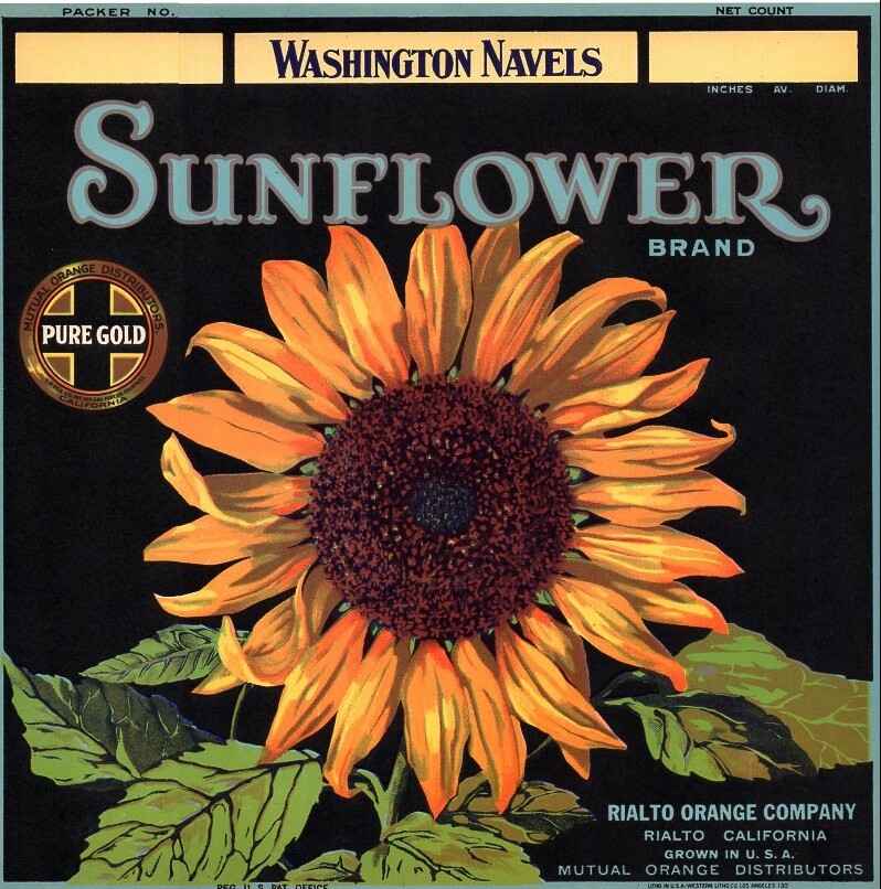 Sunflower Brand 1930s VINTAGE California Orange Crate Label NOT A COPY
