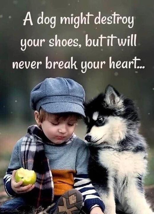 Inspirational dog refrigerator magnet 3 1/2 ” x 4 1/2 ” Made in the USA